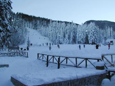 Studios-Villa Park Sv Borovets Eksteriør bilde